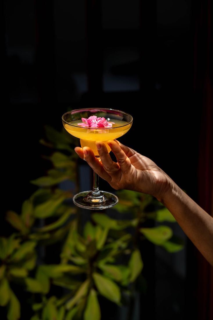 Cocktail with a flower garnish held against dark leaves